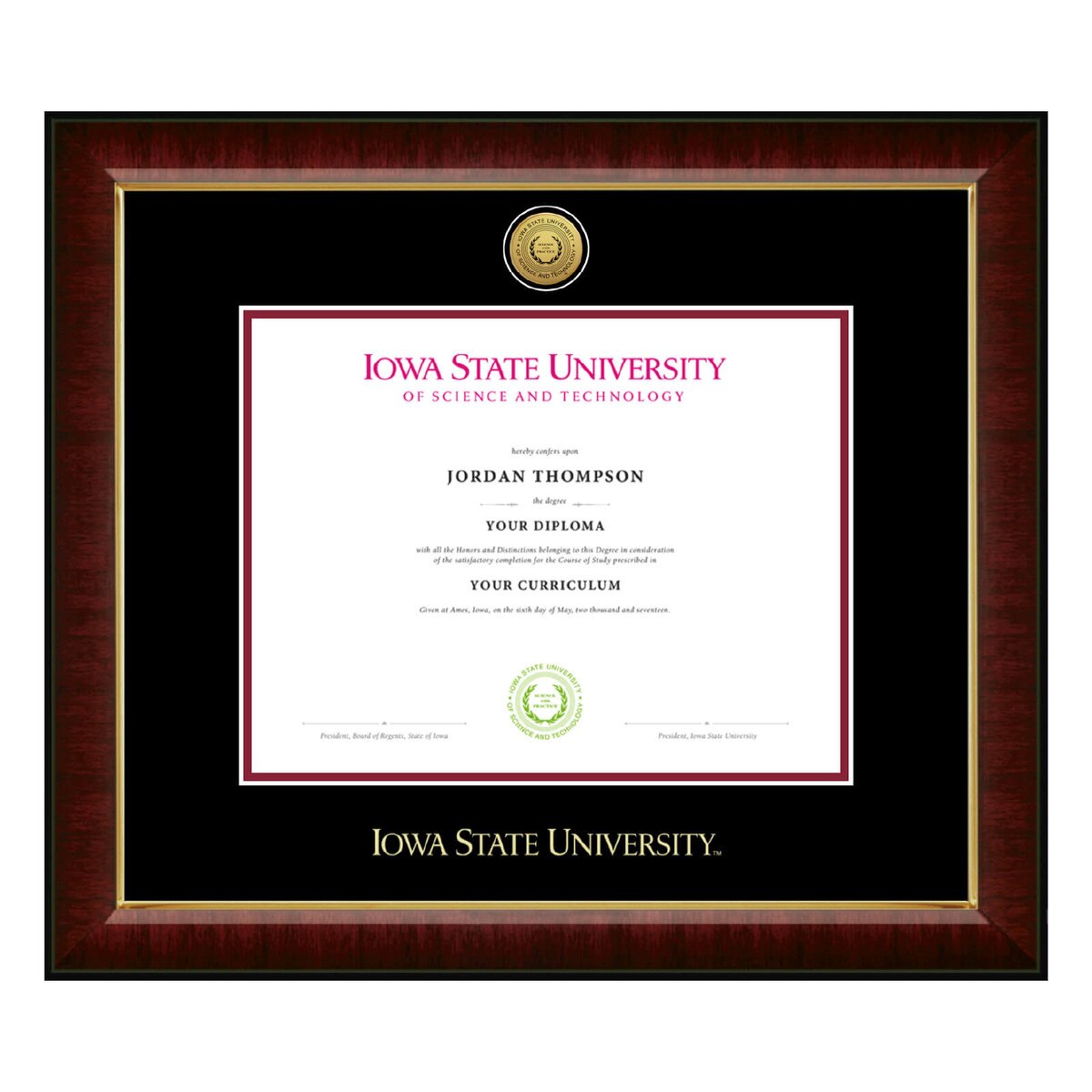 Church Hill Classics Murano Gold Medallion Doctoral Degree Diploma Frame #13